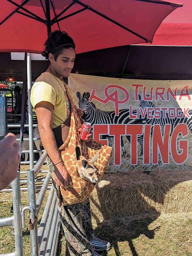 Find Some Fun At The Hernando County Fair Hernando Sun