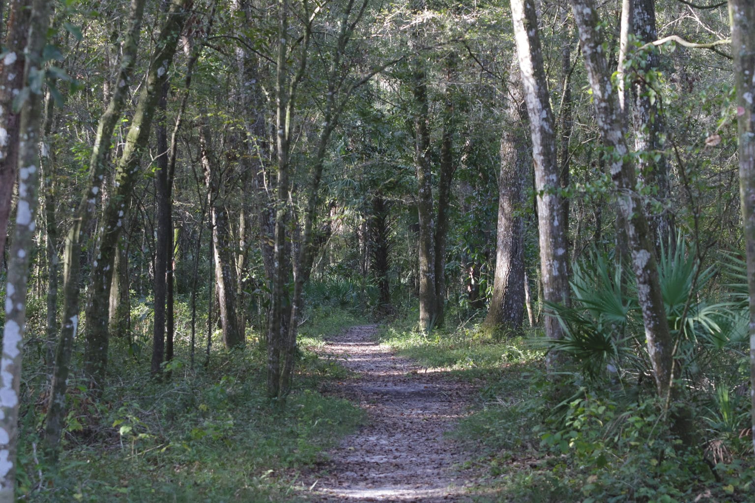 Spend National Take a Hike Day at a local preserve - Hernando Sun