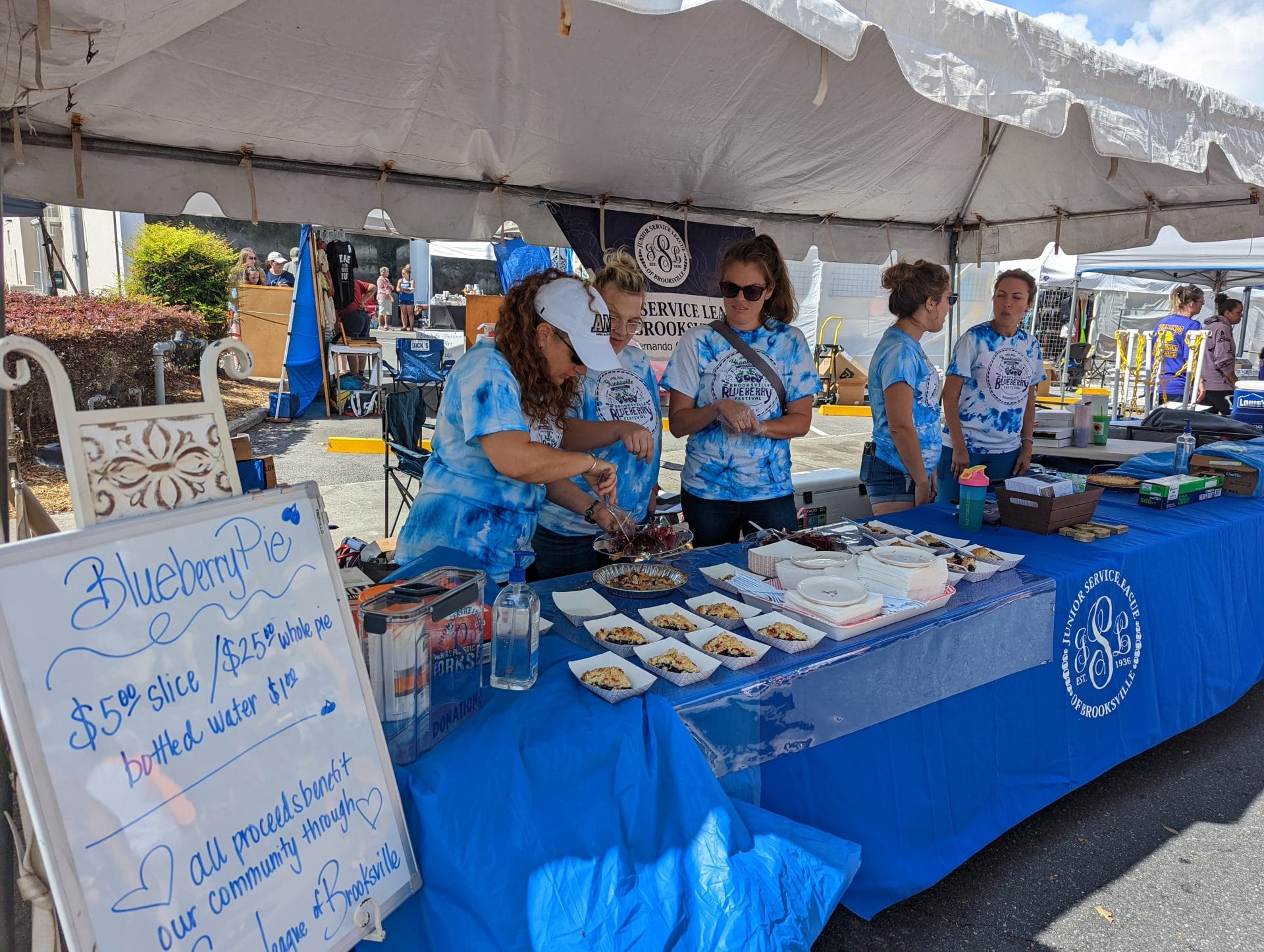 The Blueberry Festival is back! Hernando Sun