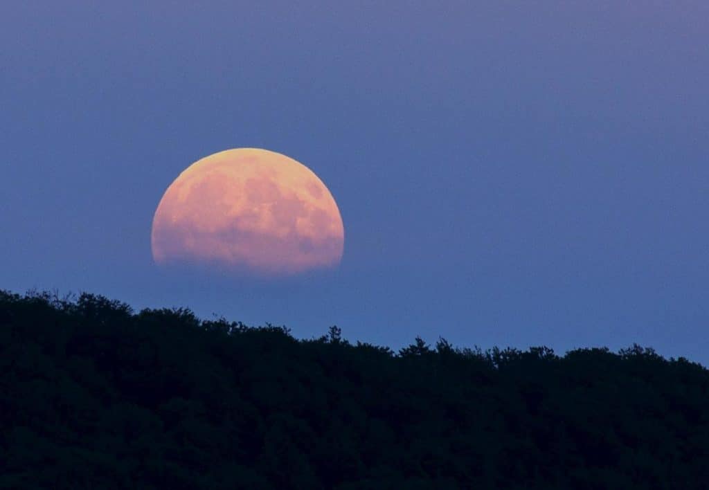 June's Strawberry Full Moon Hernando Sun