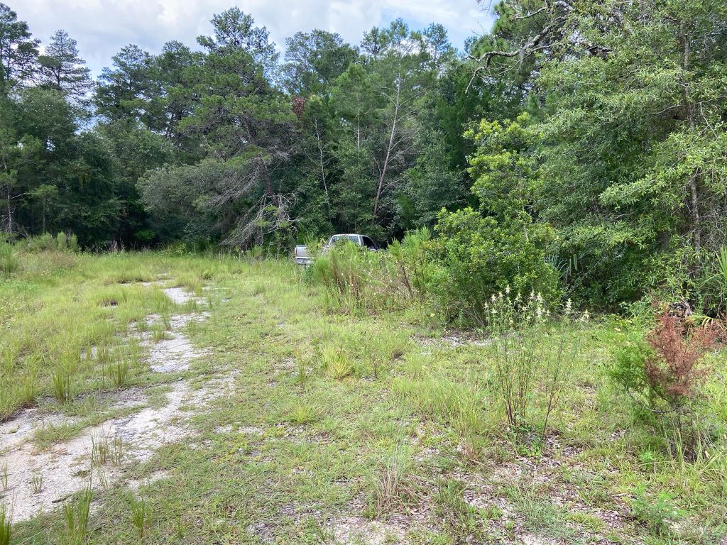 Body found behind Jericho Road plaza in Spring Hill Hernando Sun