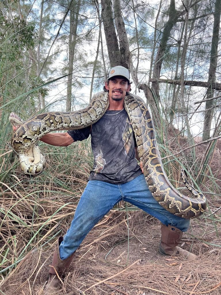 hunting-burmese-pythons-in-the-everglades-hernando-sun