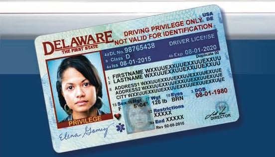 Florida invalidates some driver's license classes from 5 states