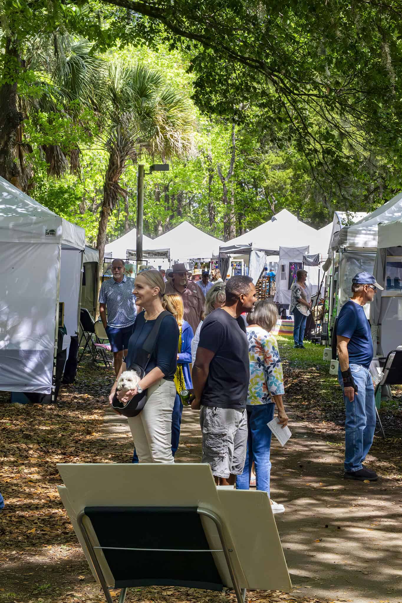 Art Enthusiasts Converge on Tom Varn Park - Hernando Sun