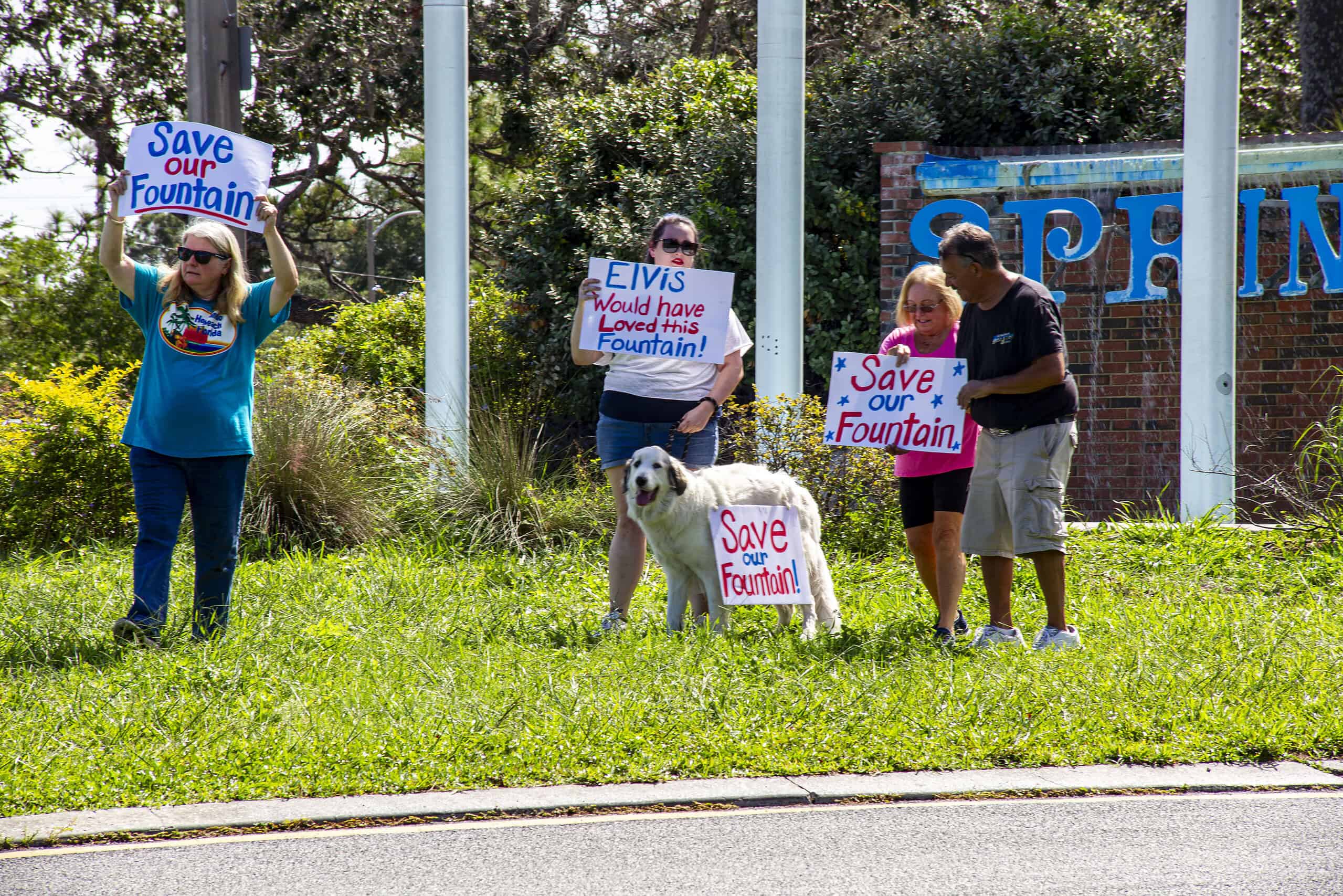Residents show their support for preserving the Spring Hill Waterfall on Saturday, June 22. [Photo by Julie Maglio]
