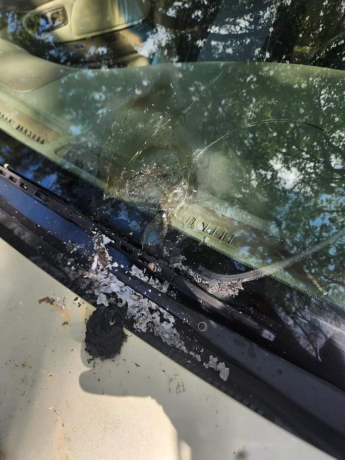 The damaged windshield of the vehicle and burnt object. [Credit: HCSO]