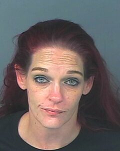 Hollie Eikenberry booking photo [Credit HCSO]