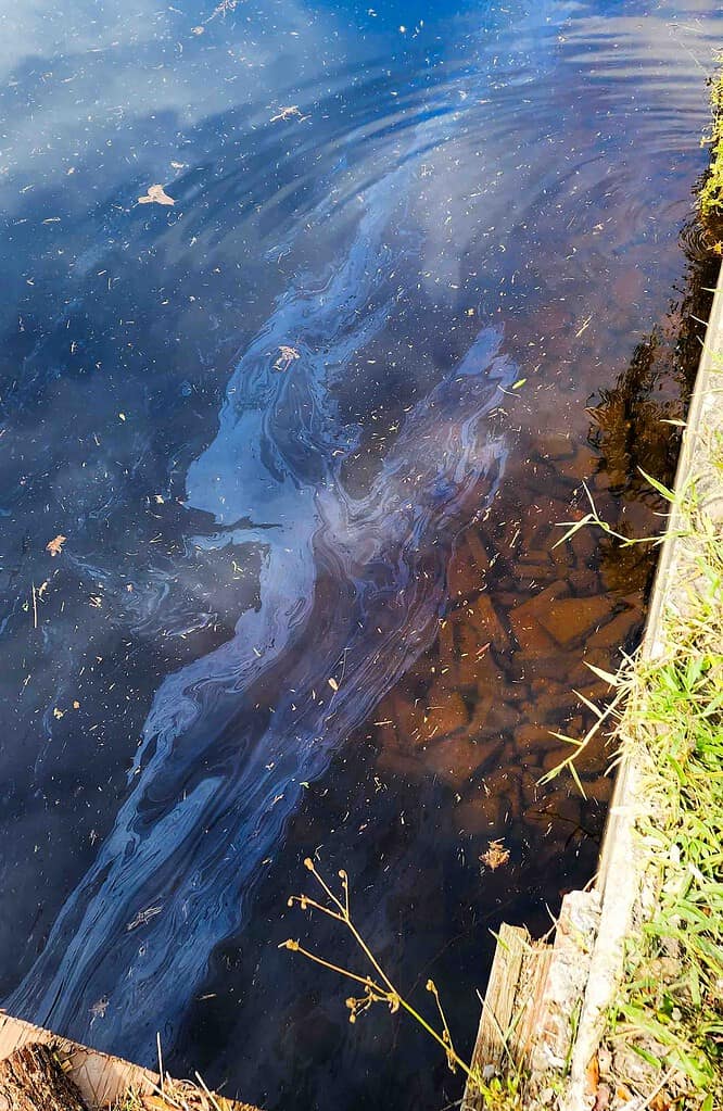 Fuel from numerous sunken boats was evident in all of the area waterways. [Credit: Mark Stone]