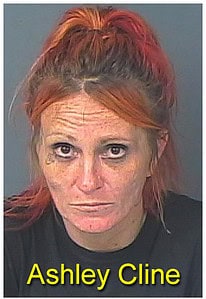 Booking photo by Ashley Cline [Credit HCSO]