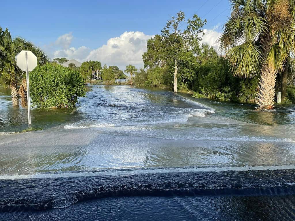 Hernando Beach roadway flooding Sept. 27, 2024. Credit: HCSO