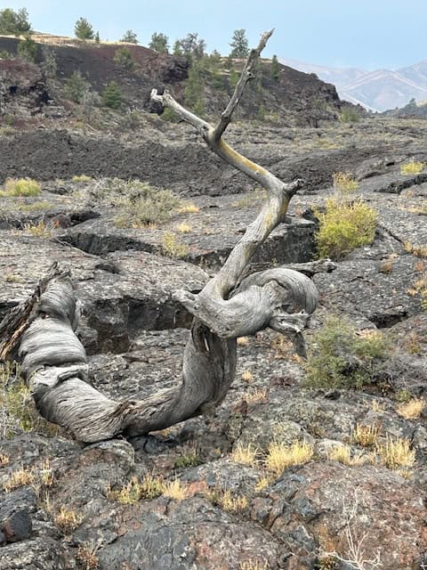 A visit to Craters of the Moon National Monument and Preserve , Sept. 8, 2024 [Courtesy photo]