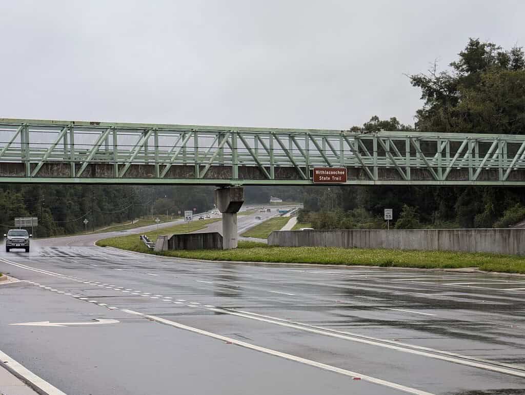 Withlacoochee State Trail overlooking Cortez Boulevard. [Credit: Hanna Maglio]