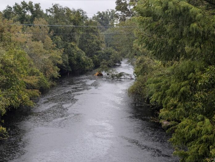 The Withlacoochee River from a bridge going East on Cortez Boulevard, Oct. 9, 2024. [Credit: Hanna Maglio]