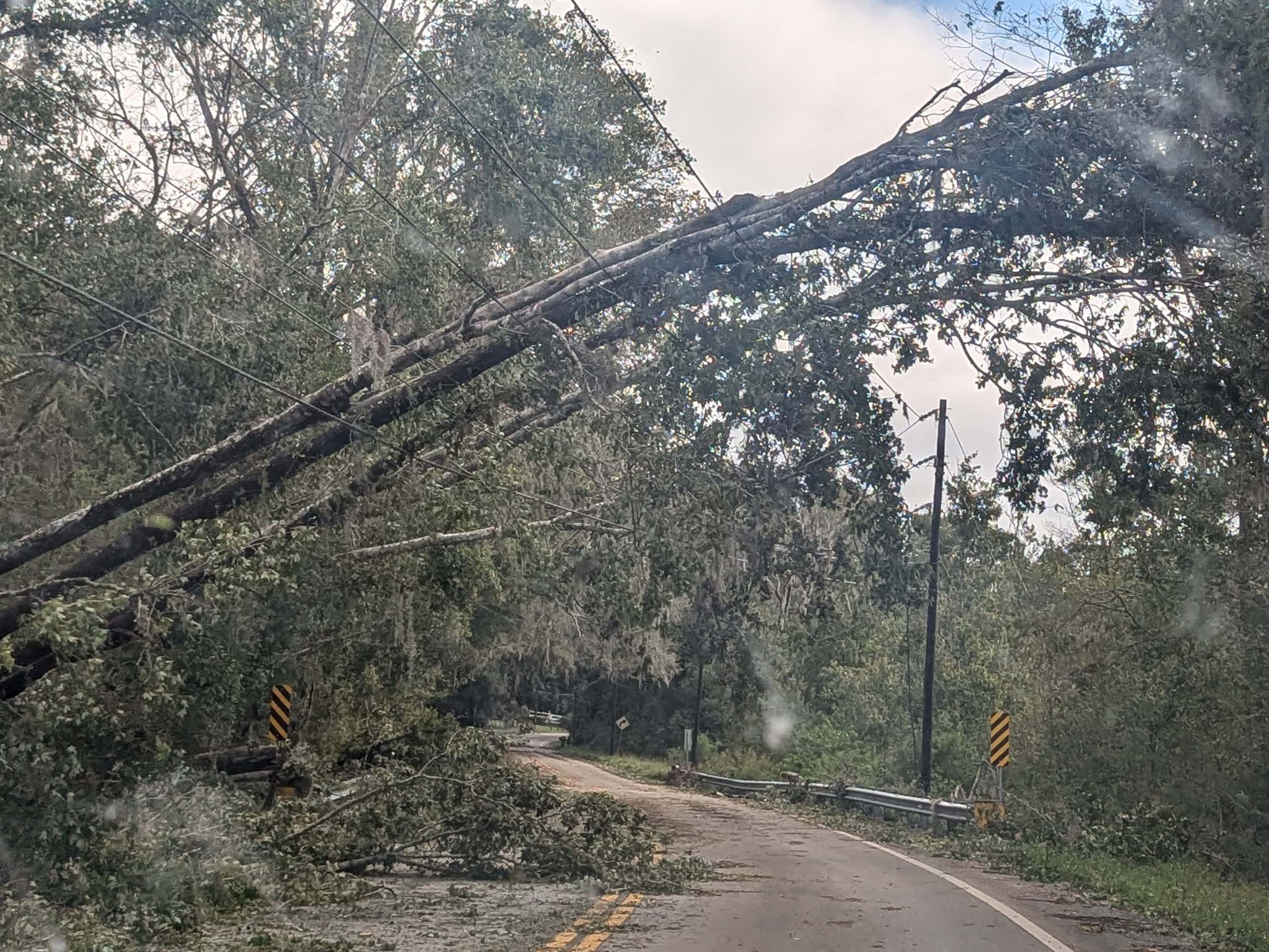 Powerlines on 476 in Brooksville precariously hold up fallen trees.