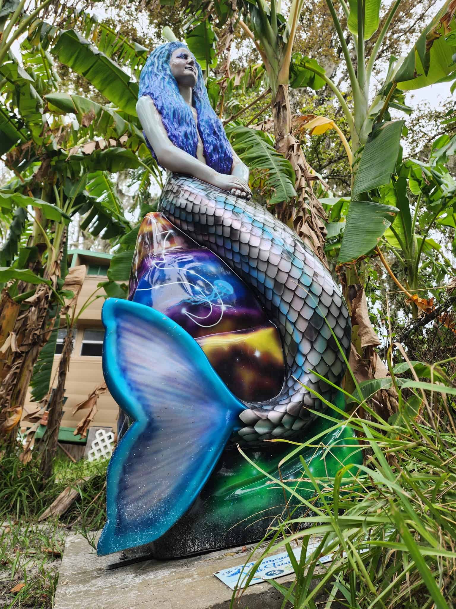 The storm surge brought Mermaid Nova to this spot after floating away from Rogers Park. Photo credit: Austyn Szempruch