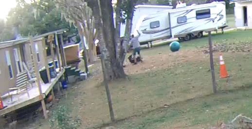 Video screenshot of suspect beating Cane Corso. Via HCSO