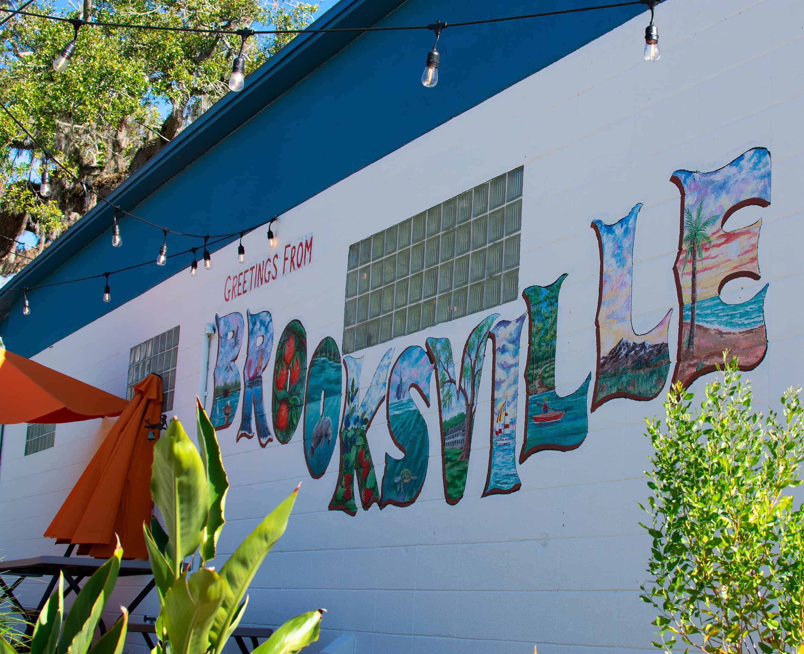 Welcome mural at Mountaineer Coffee on Small Business Saturday, Nov. 30, 2024. 
[Credit: Jenifer Truitt]