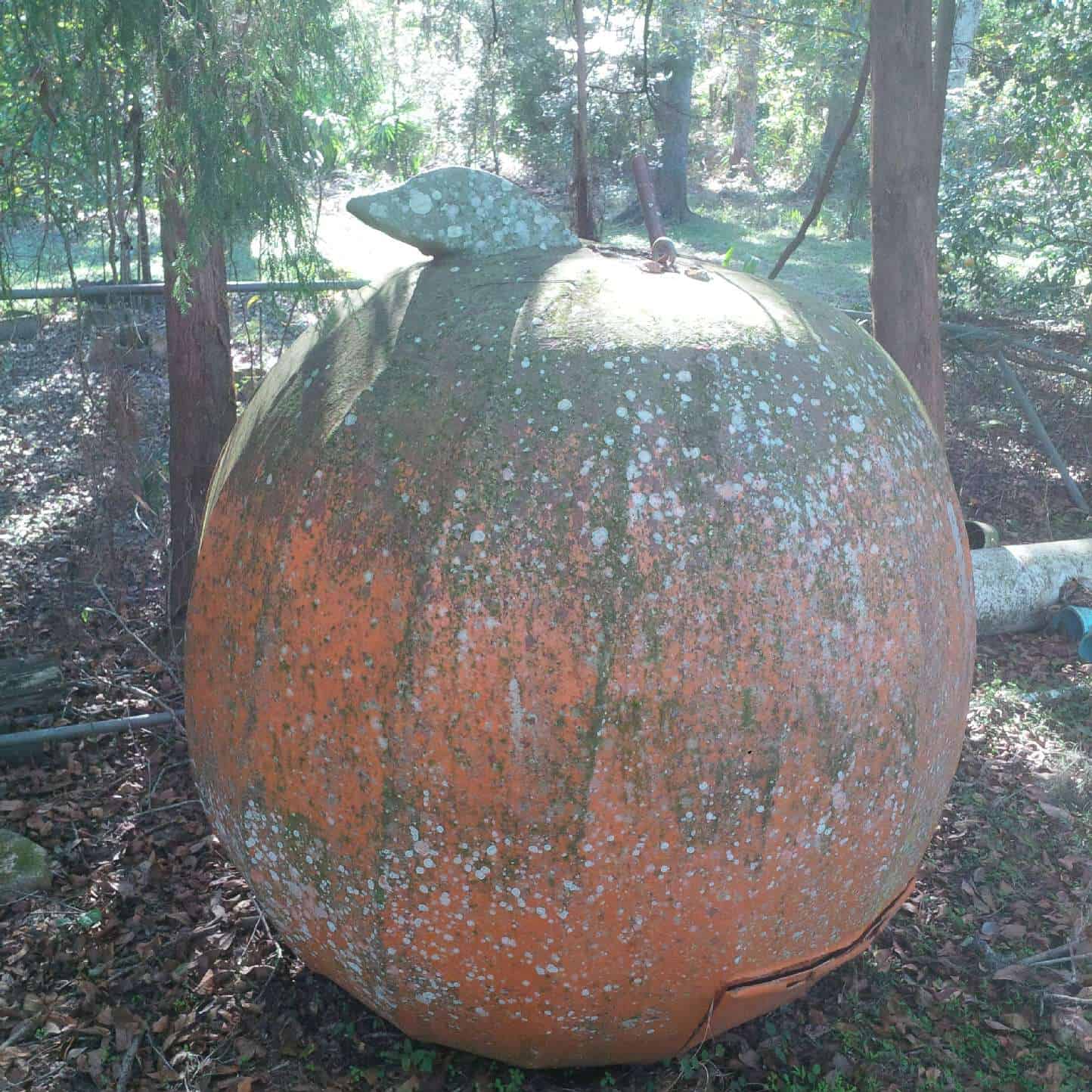 The fiberglass tangerine, in some disrepair in this photo, has now been revived and is ready to celebrate 2025.