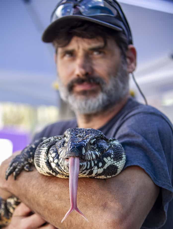 John Anderson holds Brutus an Argentine Black and White Tegu at the Tangerine Festival, Feb. 15, 2025. [Photo credit Hanna Fox Maglio]