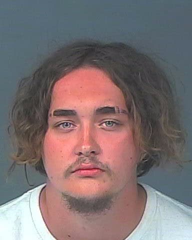 ERICKSON, ARYAN DEAN
                                
                                 – 202500181076/1